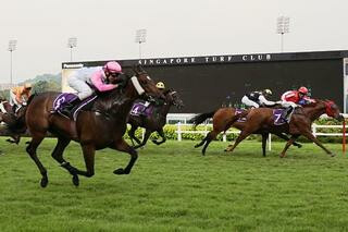 Debt Collector (NZ) scores brilliant win in the Sgp-3 Jumbo Jet Trophy. Photo Credit: Singapore Turf Club. 